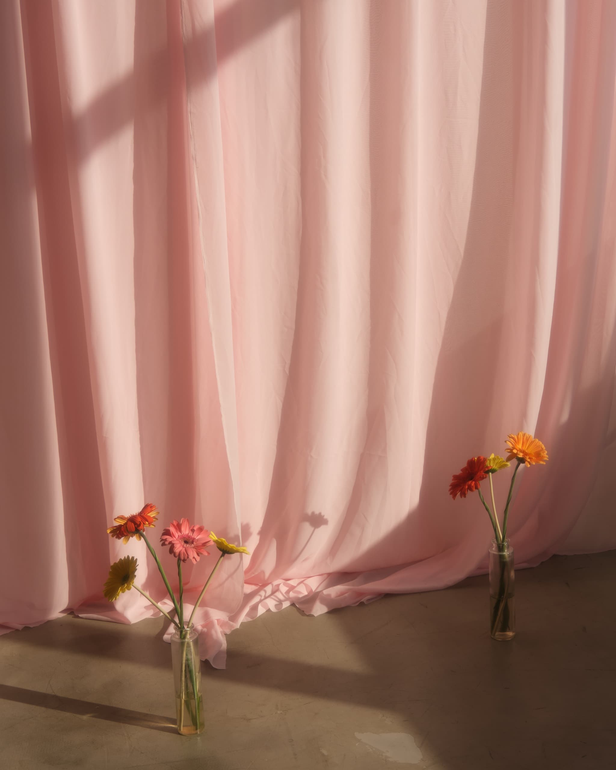 Весна в студии